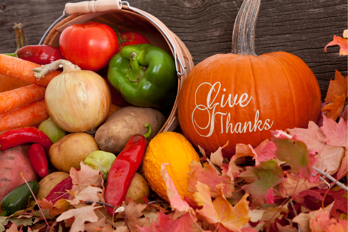 Pumpkin, peppers and other vegetables illustrate how it is time to give thanks| Corporate Synergies