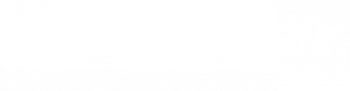 Foundation Risk Partners logo white horizontal